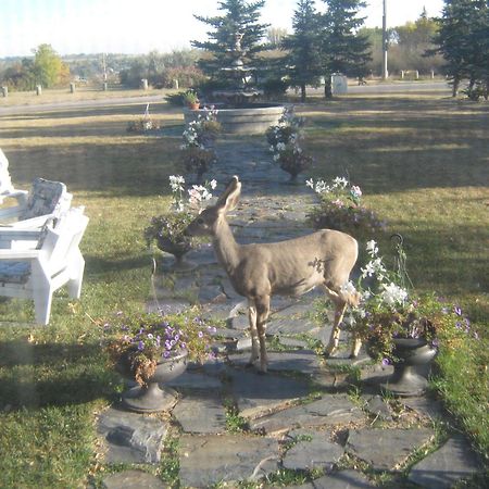 موسجاو Wakamow Heights Bed And Breakfast المظهر الخارجي الصورة